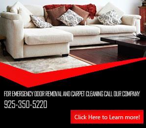 Contact Us | 925-350-5220 | Carpet Cleaning Danville, CA